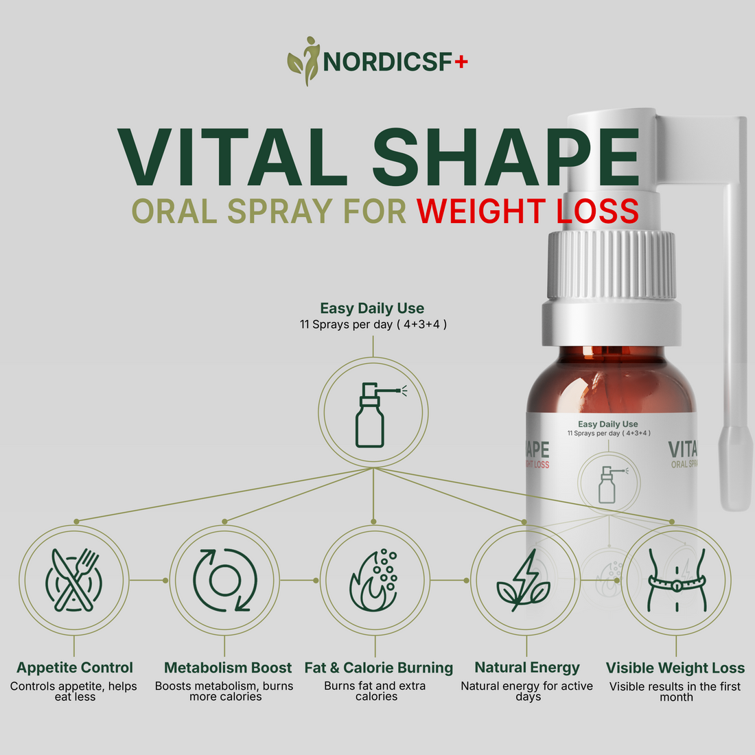 A Day with Vital Shape — The Routine That Helps You Feel Light and in Control