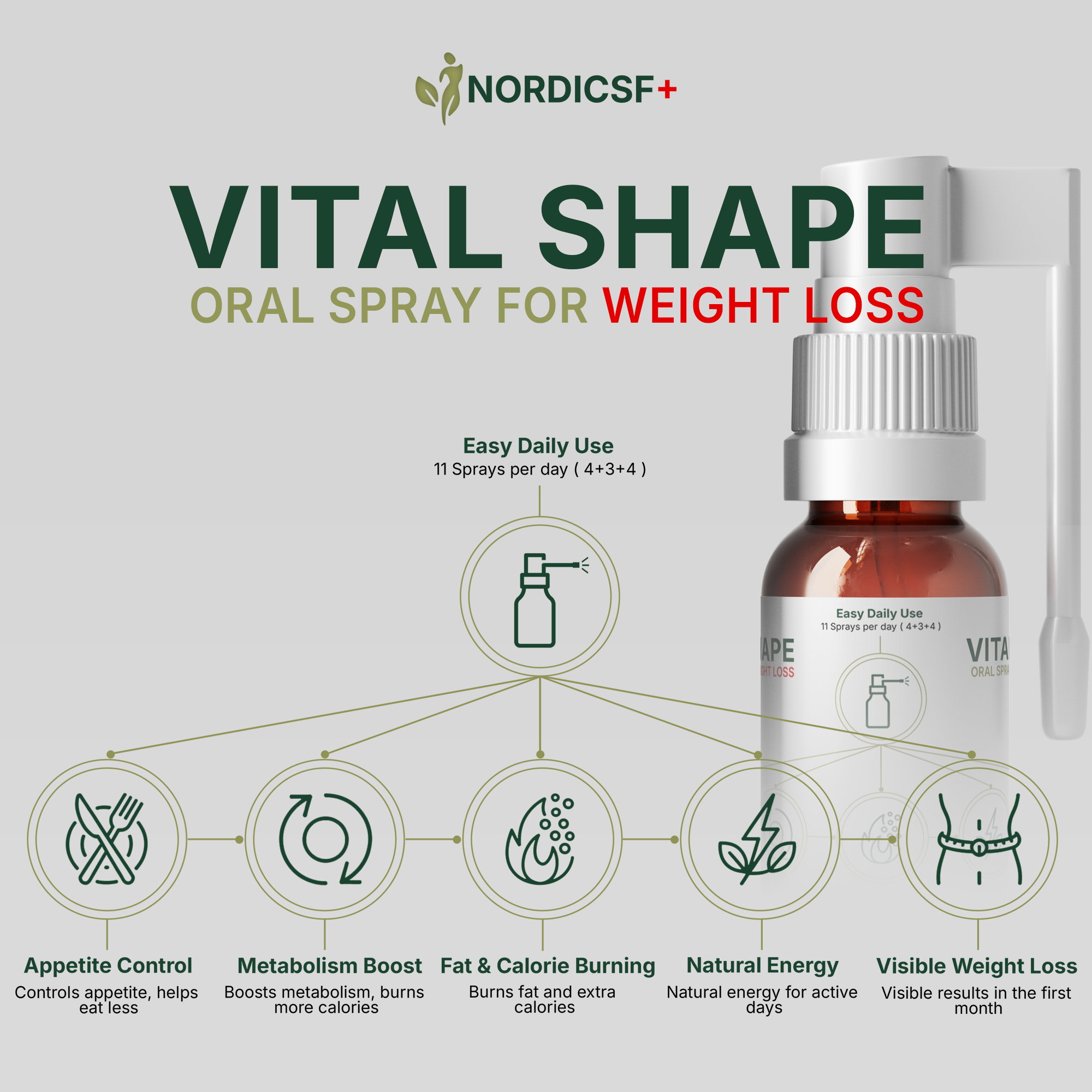 A Day with Vital Shape — The Routine That Helps You Feel Light and in Control